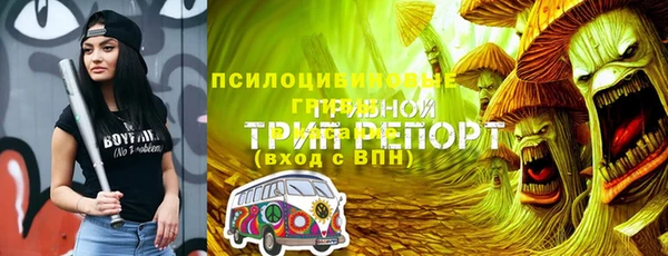 прущие грибы Алексин