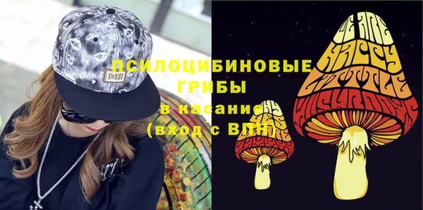 меф Арсеньев