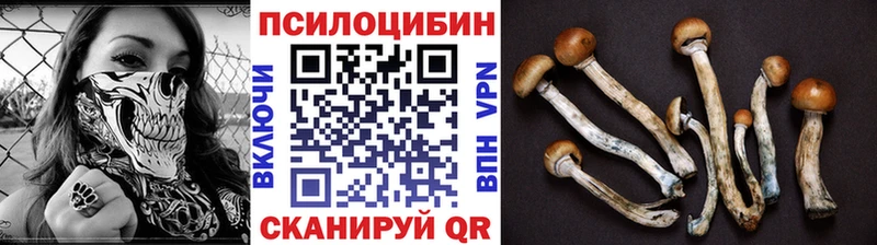 Галлюциногенные грибы Psilocybine cubensis Уварово
